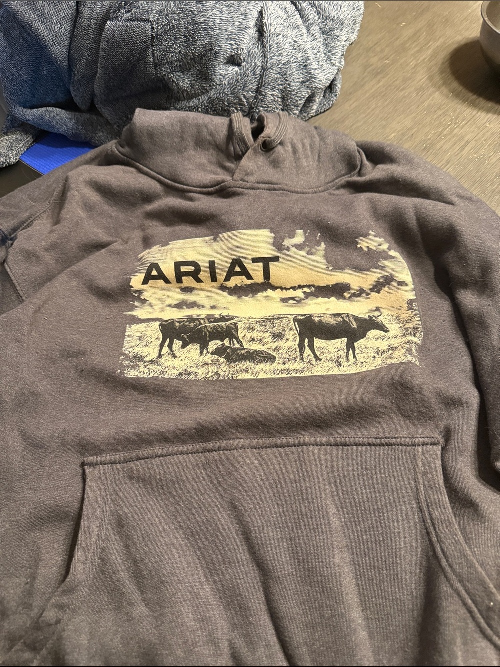 Ariat Brown Pullover Hoodie with Gold Ranch Print